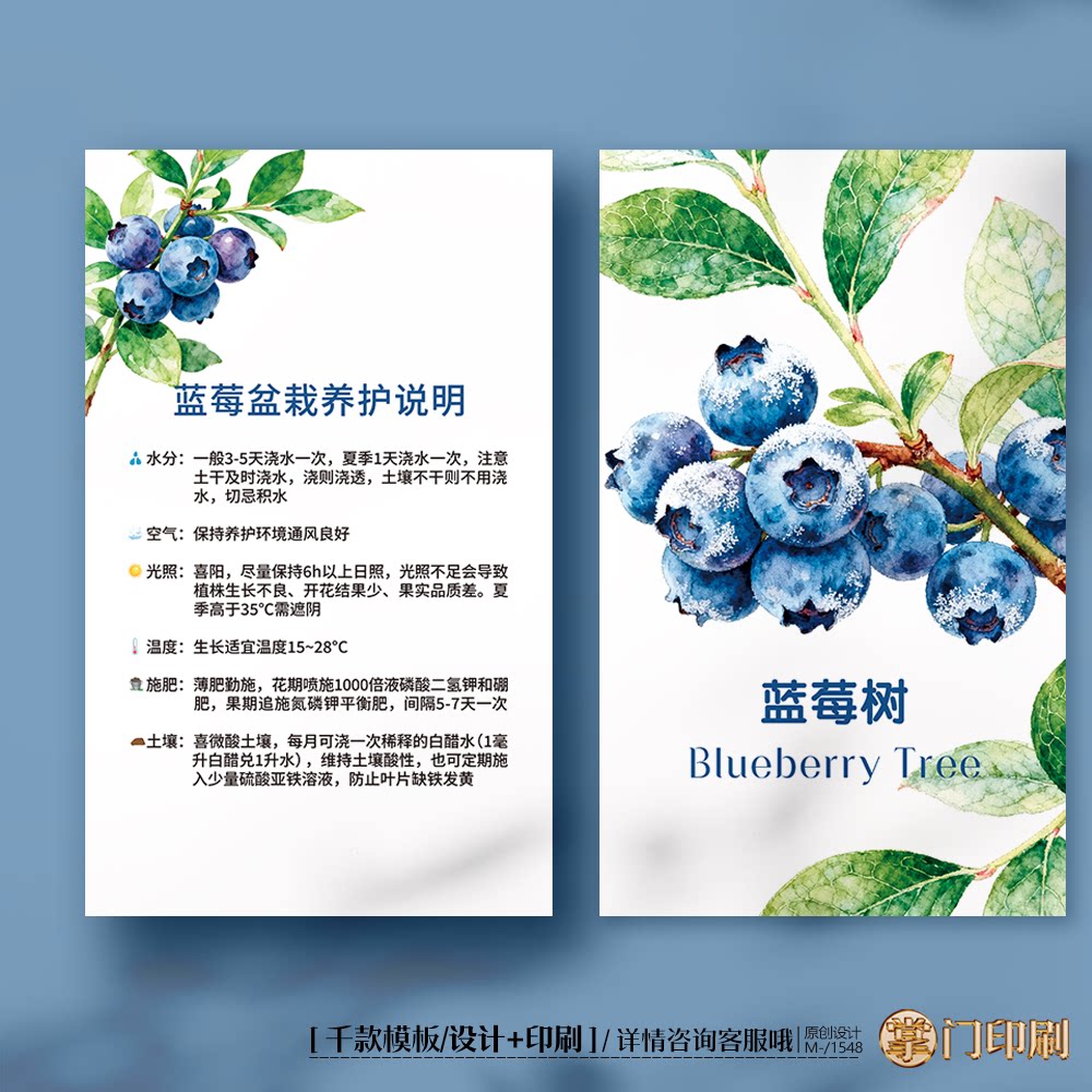 蓝莓树养护卡蓝莓树盆栽养护卡蓝莓树种植养殖卡片定制