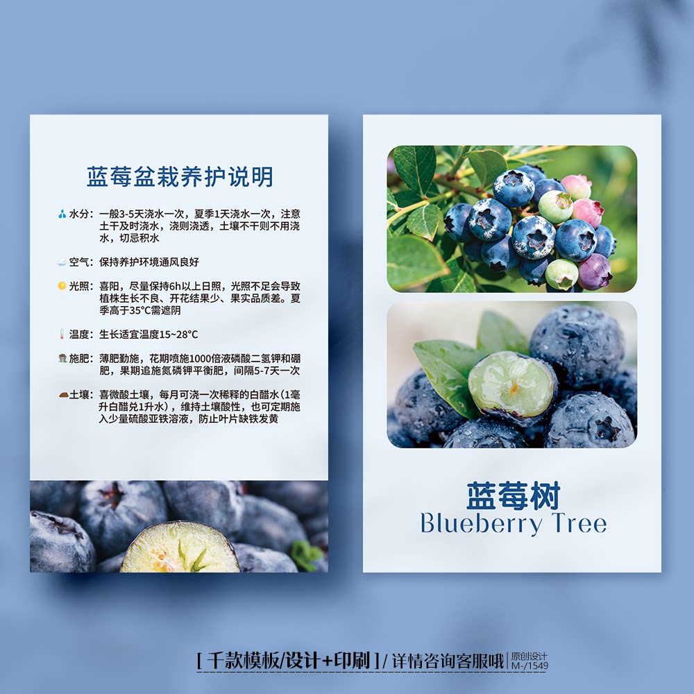 蓝莓树养护卡蓝莓树盆栽养护卡蓝莓树种植养殖卡片定制