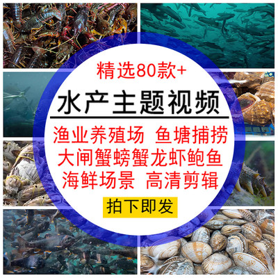 水产主题视频素材养殖场渔业捕捞大闸螃蟹养鱼塘龙虾鲍鱼海鲜场景