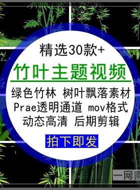 竹叶主题视频绿色竹子树林飘落prae透明通道mov后期合成剪辑素材