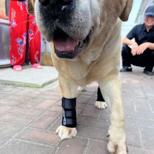 猫狗骨折固定夹板趴蹄O型腿矫正护膝韧带拉伤辅助骨质疏松保护