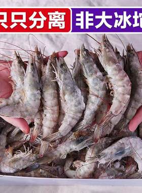 海洋鲜冻大对虾规格40/50二盒