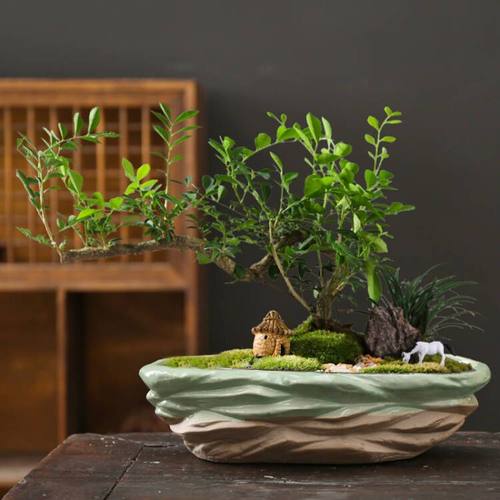 盆景盆栽花盆大口径大号陶瓷创意