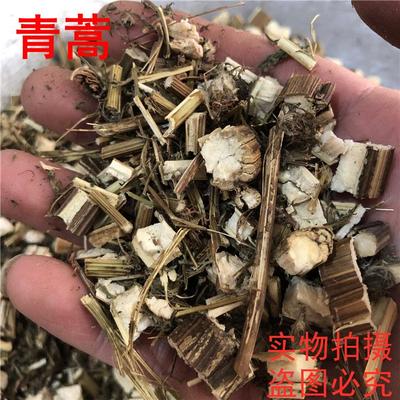 青蒿草500克 中药材青蒿草 桐臭蒿子  包邮