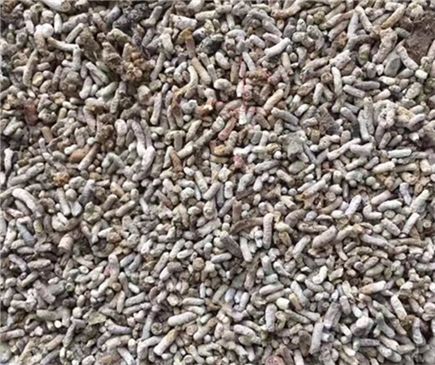 白丁香500克 中药材白丁香 天然正品麻雀屎 散装