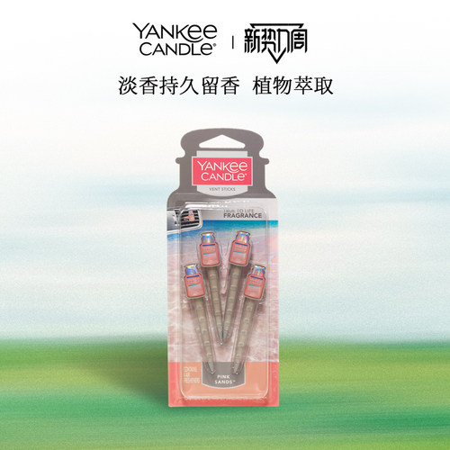 扬基芳香夹4只装出风口车载香薰
