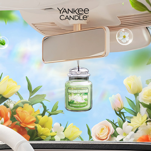 扬基车内芳香挂饰固体车载香薰