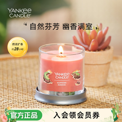 YankeeCandle美国进口香薰蜡烛