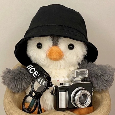 夏季新款草帽渔夫帽套装