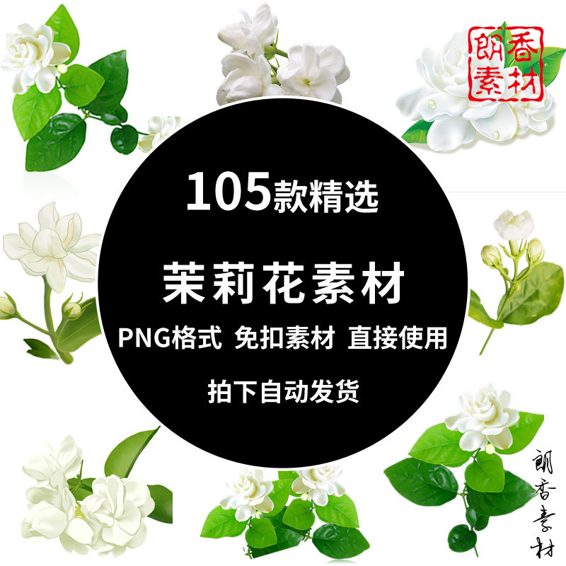 小清新手绘茉莉花花朵花卉叶子茉莉花茶png透明背景免扣图片素材