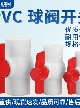 塑料水管阀门 PPR内丝全塑球阀 PPR内牙阀门水阀开关 4分6分接头