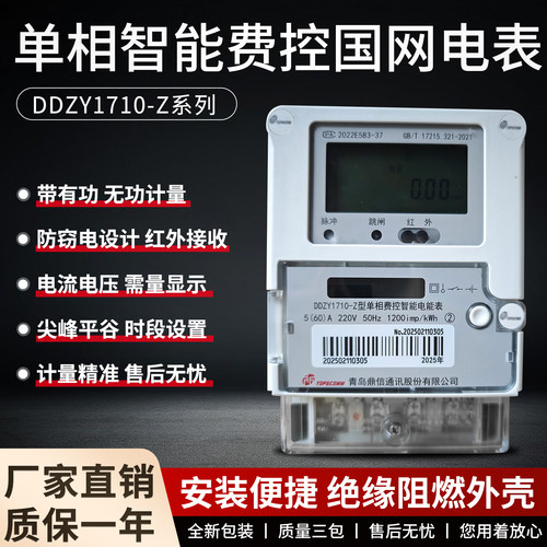 青岛鼎信高精度峰谷出租家用220V