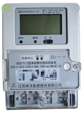 江苏林洋 DDZY71-Z 智能电表高精度液晶 出租屋家用电能表220V
