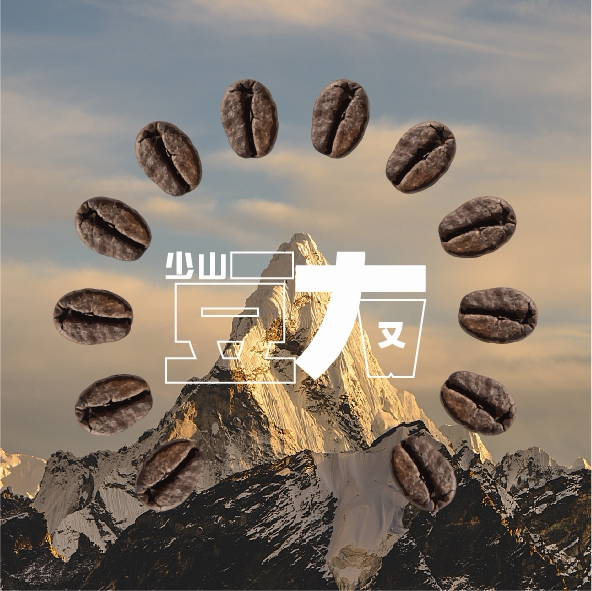 新鲜手冲咖啡天天喝 每周发货 少山豆友卡12期*100g 精品咖啡豆