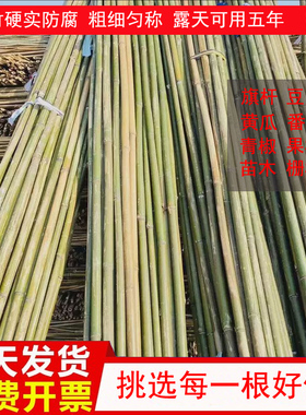 竹竿菜园搭架黄瓜蔬菜番茄葡萄豆角架杆竹篱笆栅栏旗杆小竹子细竹