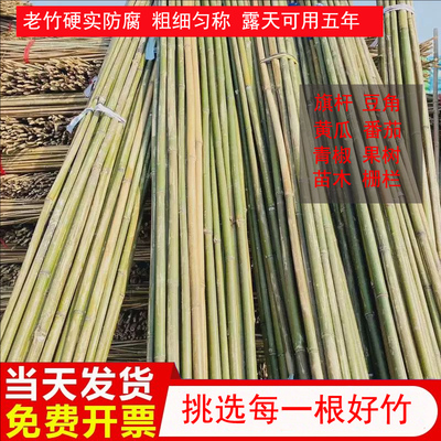 竹林直发防腐耐用量大优惠可开票