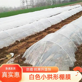 透明塑料薄膜塑料布小拱棚膜大棚膜地膜农用育苗封窗保温种菜防尘