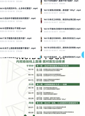 无界内观流18节26年瑜伽跟练课程视频跟练理论系统线上教学内观流