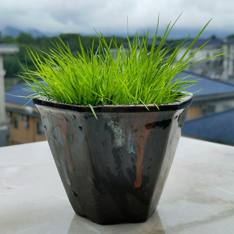 八十年代陶瓷公司进出口部老库存隧道窑重油烧制均釉窑变六方花盆,家居饰品,花盆,淘宝优惠券,粉丝福利购,淘宝优惠卷