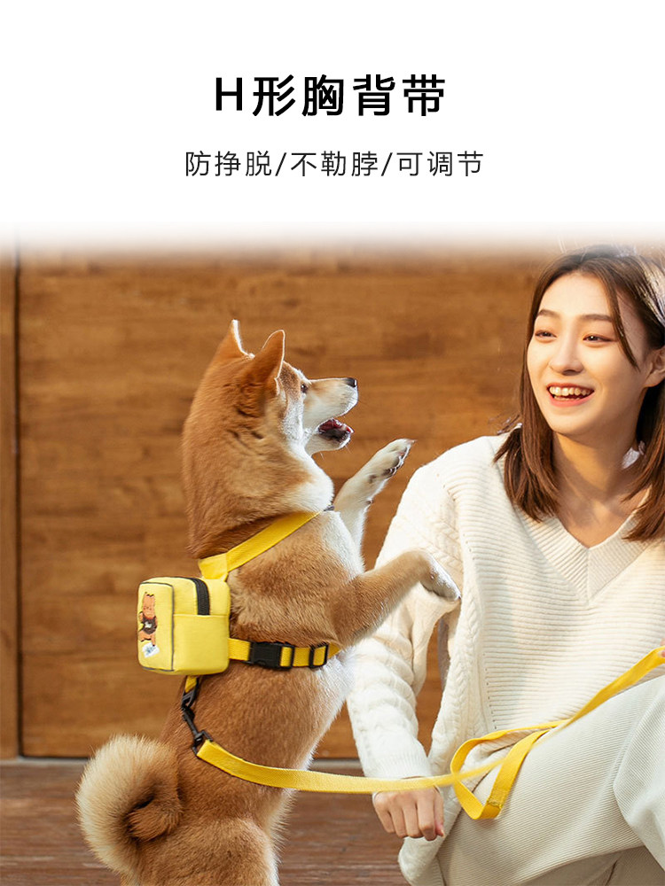 宠物自背包包猫狗通用外出包便携小牵引绳2023新款夏季舒适