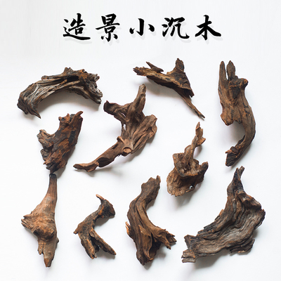 紫柚插花小型躲避微景观免煮沉木