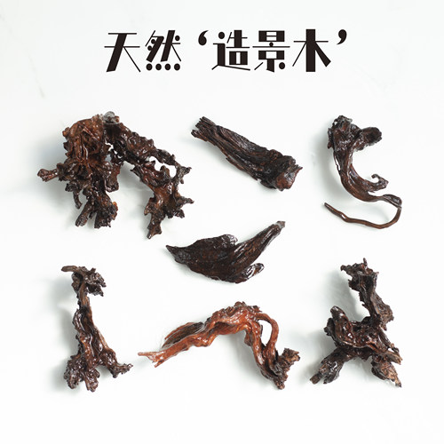 天然造景沉木5-30CM爬宠微景观