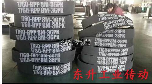 面粉机皮带RPP8M-1760-36PK 10M-1760-34PL齿楔带8M-1440传动皮带