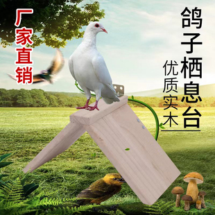 鸽子站架鸽子用品息架信鸽用具实木加厚栖架赛鸽用品鸽子栖息站架