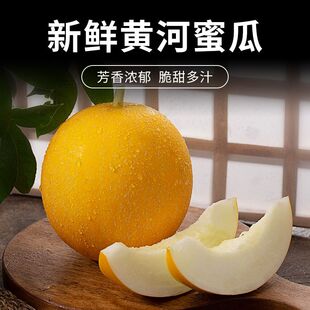 正宗白瓤蜜瓜新鲜当季孕妇水果现摘黄金香瓜甜瓜甜瓜