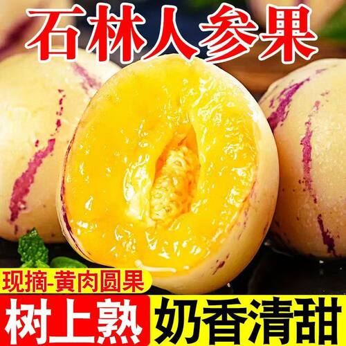云南石林自然熟黄肉人参果中大果