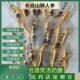 长白山保鲜小人参煲汤泡水养生鲜参正宗人参长白山鲜人参正品