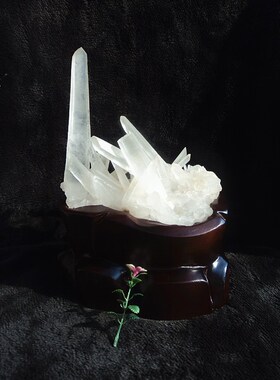 晶山角天然白水晶簇 白水晶柱（原石）270*175MM1.9kg 净高190mm