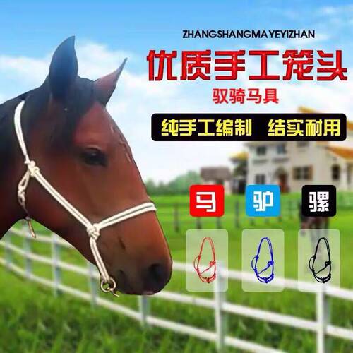 马术用品纯手工编织笼头大小马通用马驴骡龙套可调牵马绳龙头笼套