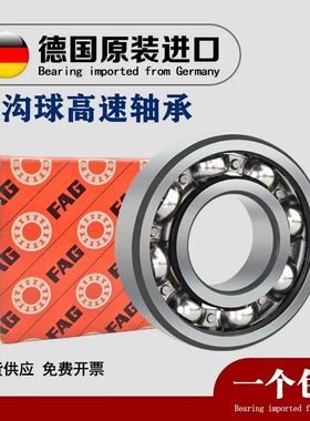 进口FAG轴承 61818 61819 61820 61821 61822 61824 2ZR 2RSR C3