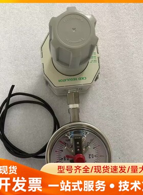 调压阀RN8000-25-T8减压阀CKD