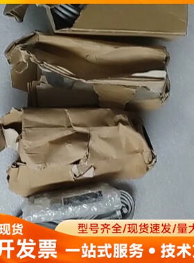 CKD气体流量计FSM3L101U1DH1F2T-BHR.全