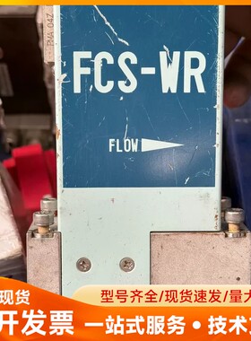 Fujikin富士金FCS-WR气体流量计，型号FCSWR-