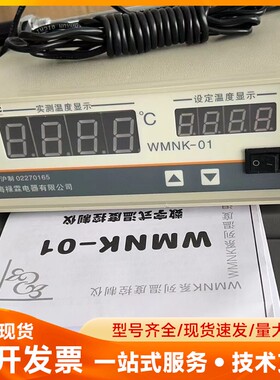 WMNK系列温度控制仪-01