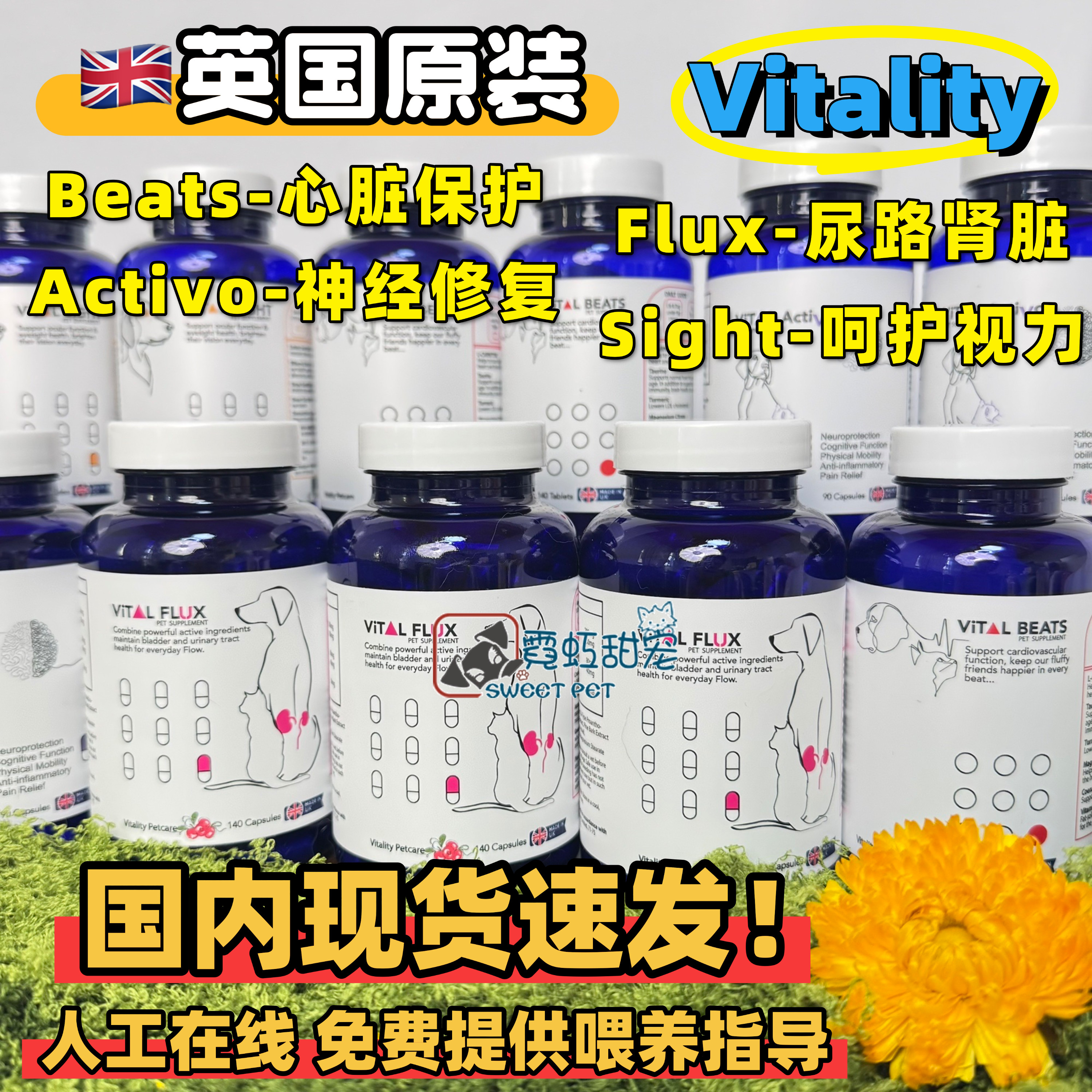 英国Vital猫狗beats辅酶Q10叶黄素sight白内障眼睛神经修复pea