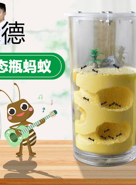 生态瓶蚂蚁蚂蚁工坊城堡