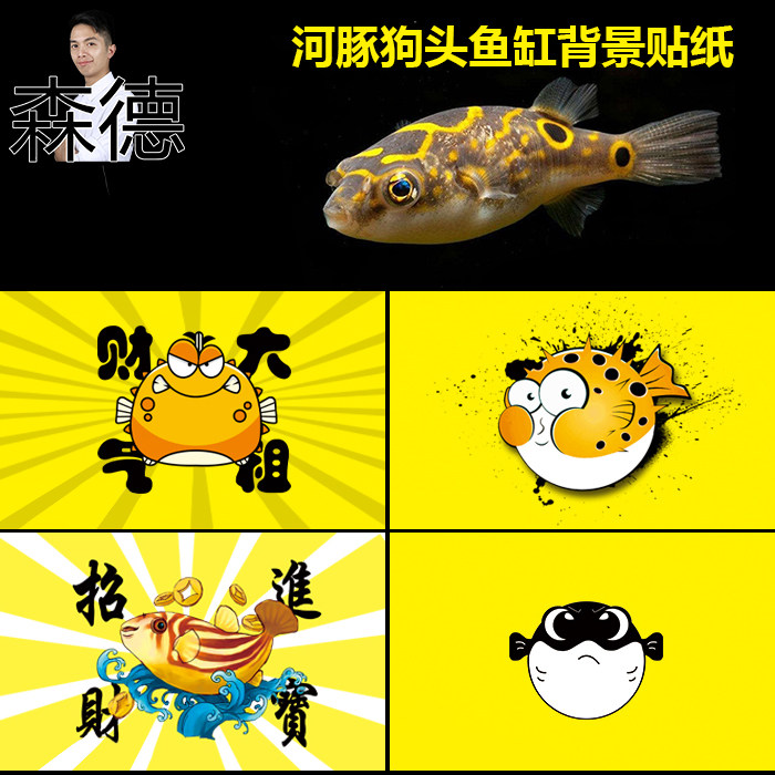 斑马狗头鱼缸背景贴纸河豚鱼缸专用黄色高清背景贴纸自粘内外防水