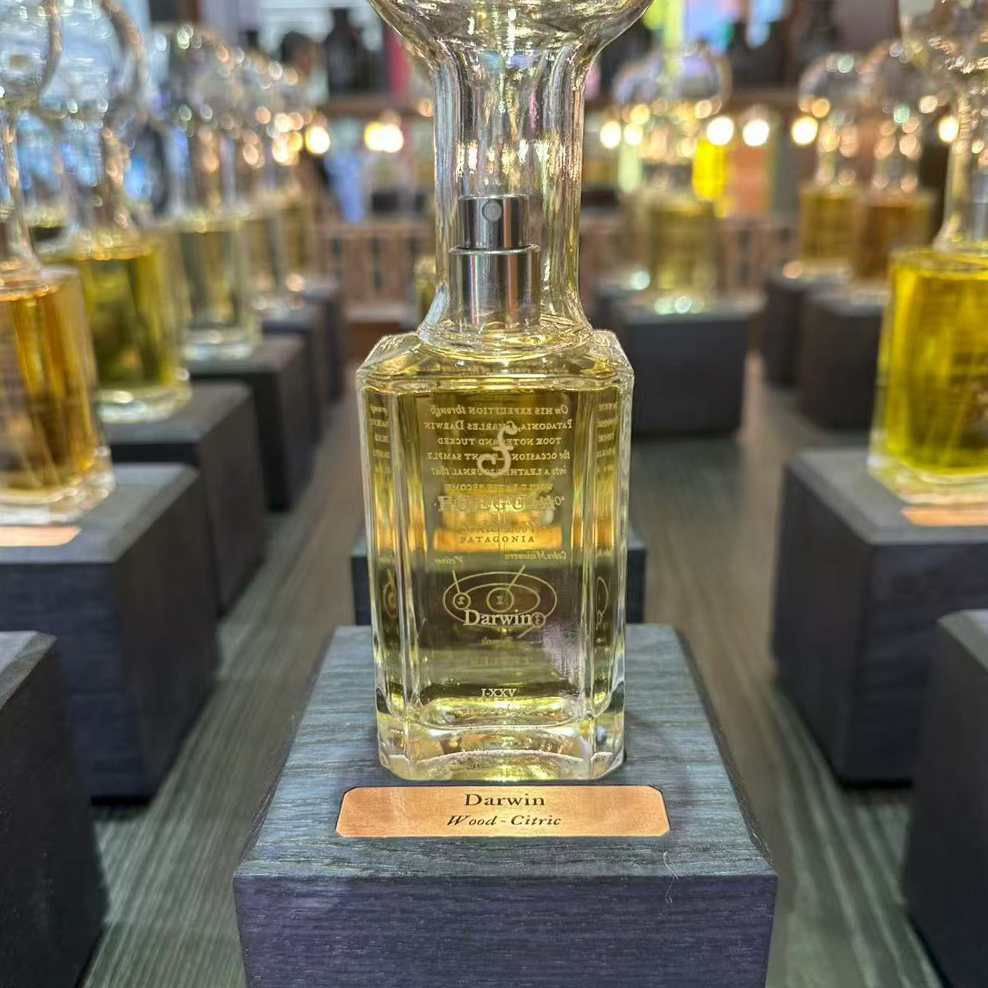 小众Fueguia弗伽亚1833香水纽约darwin达尔文 杂货铺 理想国 内庭