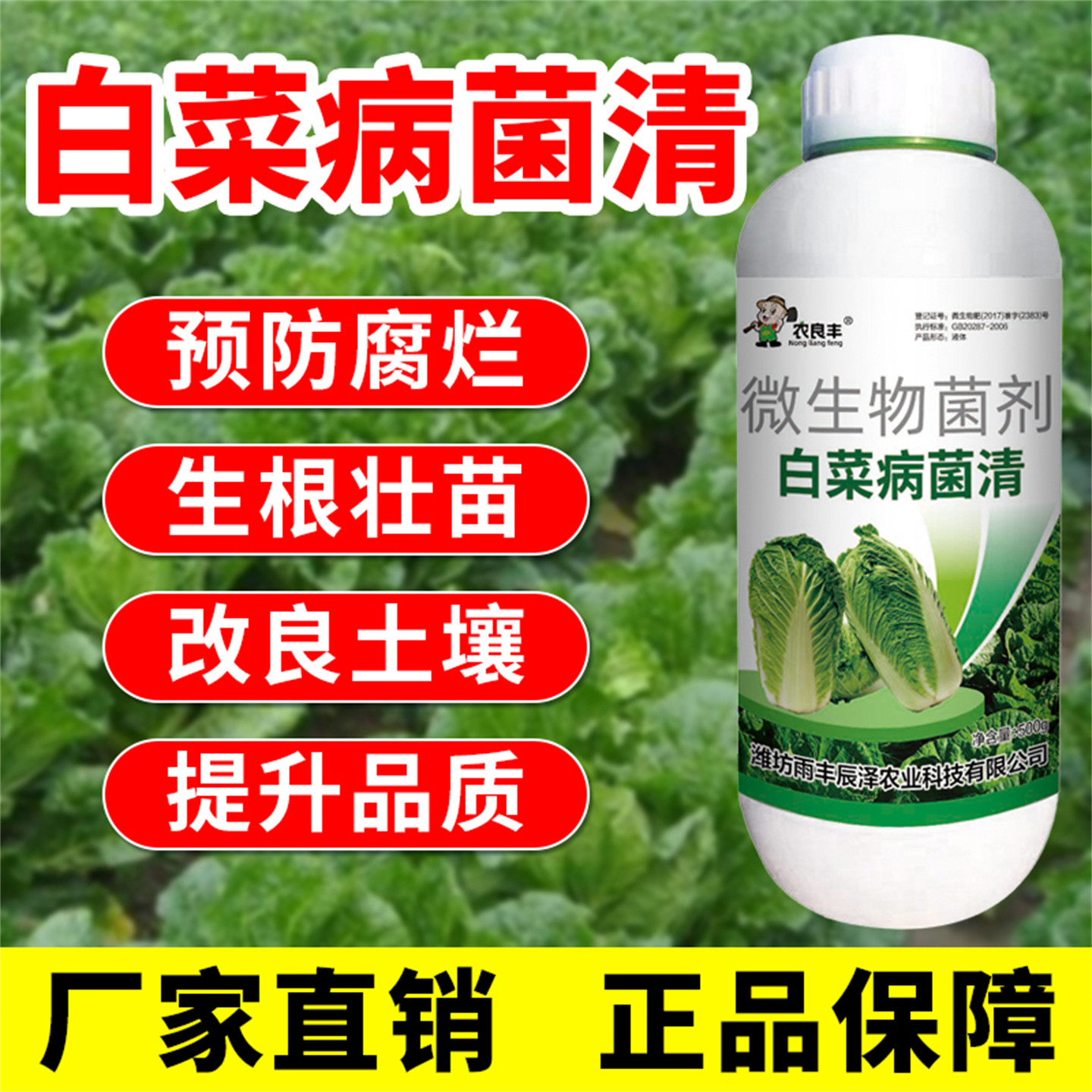 白菜病菌清微生物菌剂水溶肥料