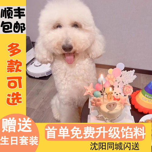 宠物生日蛋糕通用鸡肉