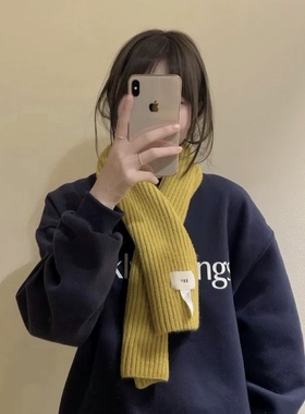 Carrier  Egg韩国小众设计师围巾简约百搭竖条针织女亲肤情侣围脖