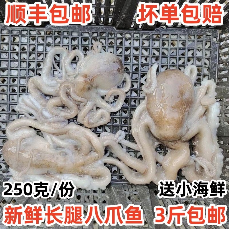 鲜活八爪鱼新鲜海捕无冰净重包邮