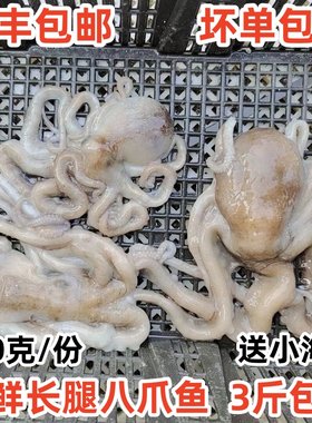 鲜活八爪鱼新鲜海捕无冰净重包邮