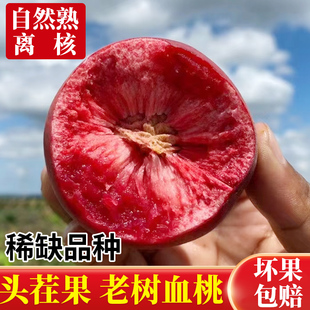 新鲜血桃正宗胭脂红血桃红肉桃子当季老树毛桃血桃孕妇宝宝桃水果