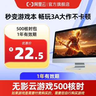 无影AI云电脑500核时包1年有效期 下单时请填写手机号码 直充