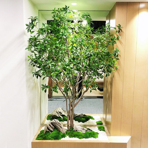 仿真造景马醉木日本造景朗世达